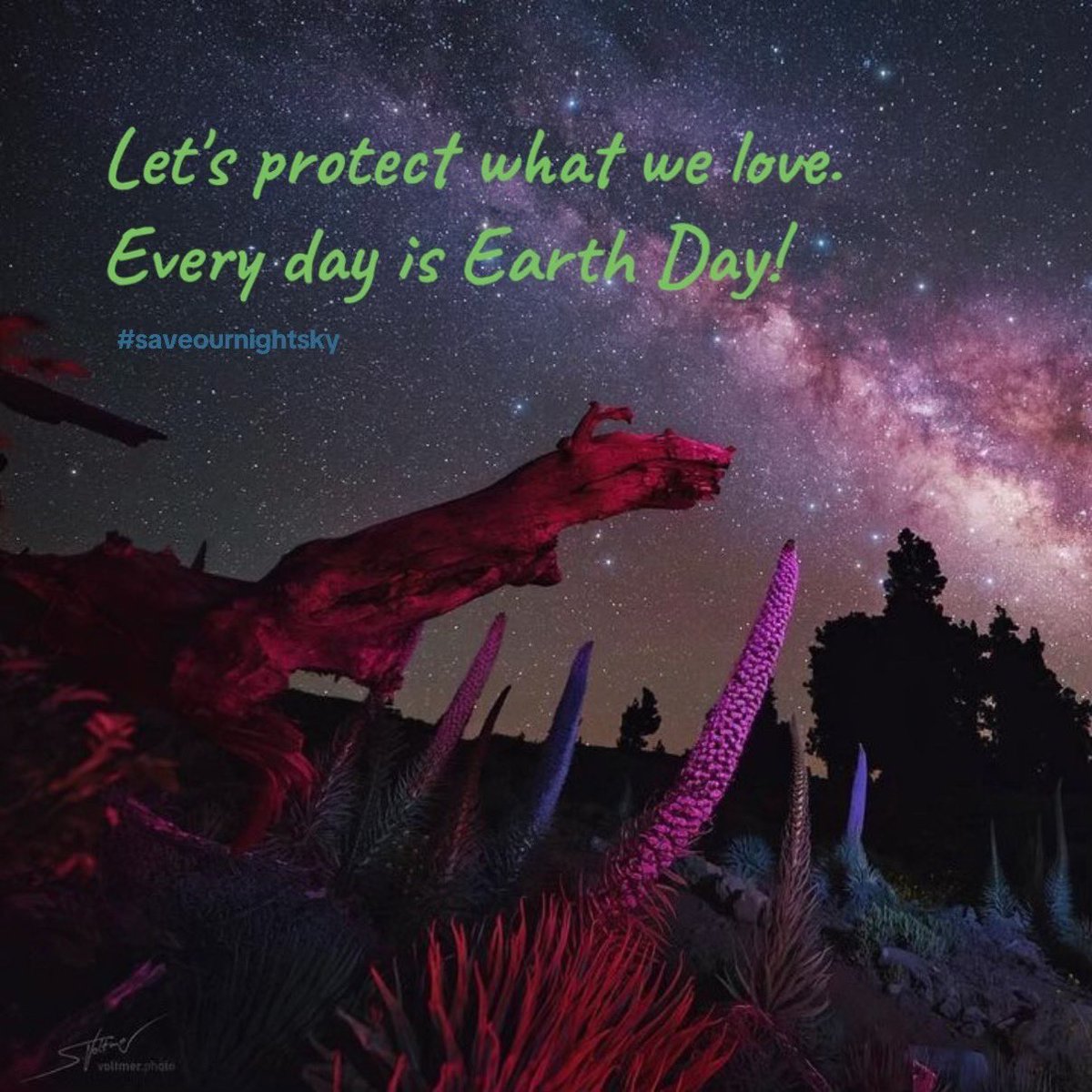 SeVoSpace's tweet image. Happy Earth Day!
Rising Spring Milky Way seen from La Palma. At 2000 meters altitude, near the top of La Palma (Canary Islands), you'll find this iconic flower. In Spanish it’s called “Tajinast” (Echium wildpretii).

Photo taken through my wide-angle lens (14-24 mm).

#earthday