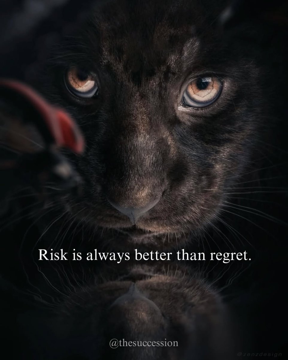 Mind Essentials (@mind_essentials) on Twitter photo 