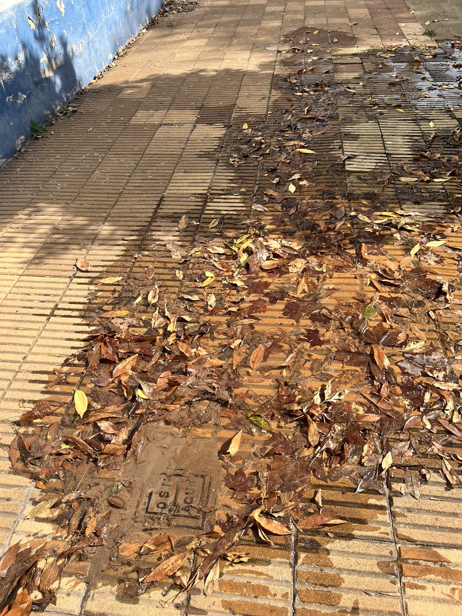 YaninaSurin's tweet photo. @AySA_Oficial 
Buenas tardes hace día tenemos pérdida de agua en calle San Pedro 3748 en Parque Avellaneda . Se podrá enviar personal ? https://t.co/r7BfIdbw6K