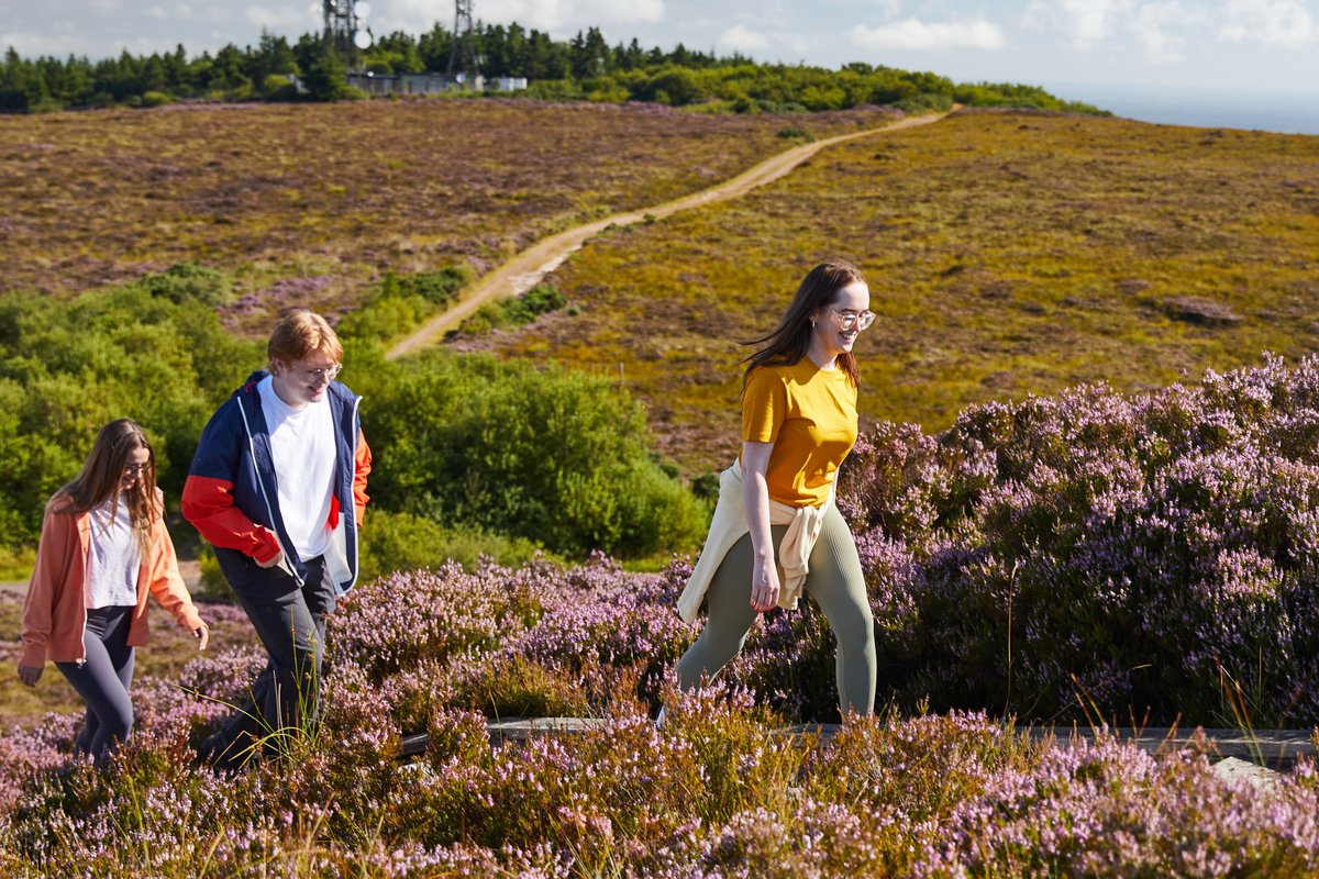 Reuters Events Sustainable Business (@revents_sustbiz) on Twitter photo For Ireland’s former peat farmers, tourism affords a new lifeline. Angeli Mehta reports on nature restoration projects in Belgium and Ireland. <a href="/carroll_orla/">Orla Carroll</a> <a href="/Failte_Ireland/">Fáilte Ireland</a> <a href="/tslavinm/">Terry Slavin</a> #Tourism #Sustainability #EnvironmentalRestoration #GreenTransition
reuters.com/sustainability… For Ireland’s former peat farmers, tourism affords a new lifeline. Angeli Mehta reports on nature restoration projects in Belgium and Ireland. <a href="/carroll_orla/">Orla Carroll</a> <a href="/Failte_Ireland/">Fáilte Ireland</a> <a href="/tslavinm/">Terry Slavin</a> #Tourism #Sustainability #EnvironmentalRestoration #GreenTransition
reuters.com/sustainability…