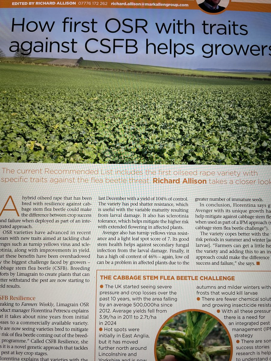 Perhaps AHDB could send someone hot footing over to France, ASAP. The OSR in the central and eastern parts of the country are truly stunning. How do they manage it? We in the 🇬🇧 need the answers.🤔 #ahdb