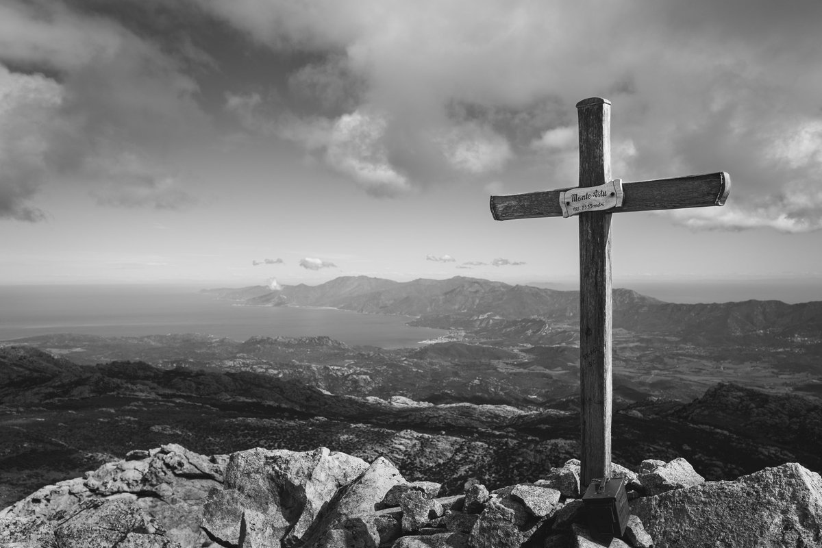 RicciThomas2's tweet photo. Lama - Monte Astu https://t.co/LNy2Tb8Hbx