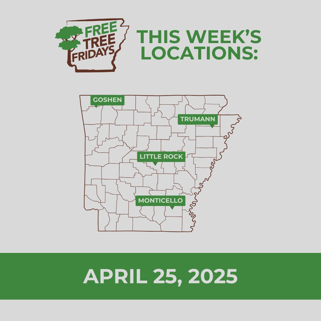 Our final Free Tree Friday events are happening this week. Due to the weather forecast, we will provide updates on any cancellations Friday morning. All giveaways will run from 11 a.m. to 1 p.m., or until all seedlings are handed out.

Learn more: agriculture.arkansas.gov/forestry/urban…