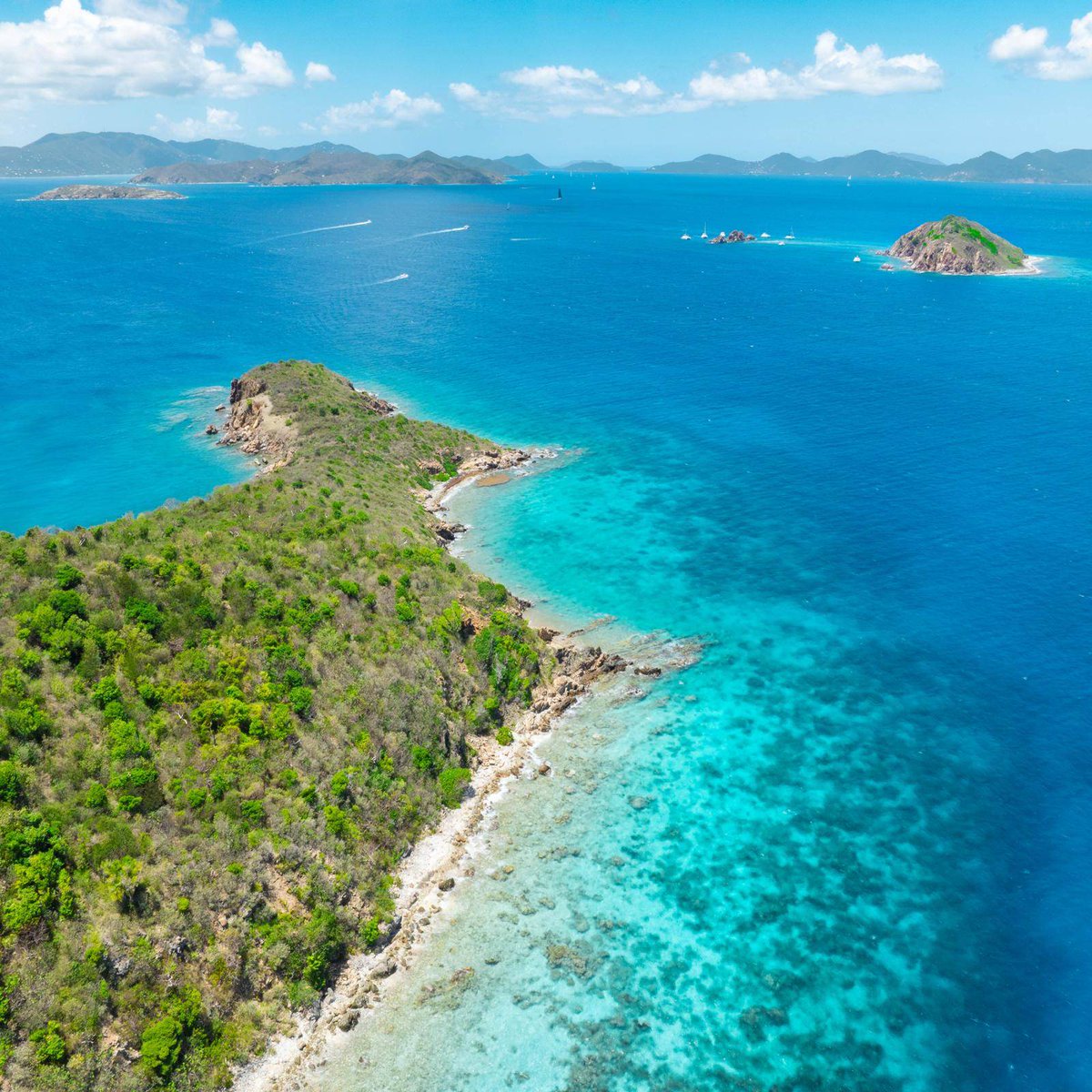 🌎🌊🌿🐠 EARTH DAY 2025 🐢⛵️🌵🌏

Earth's oceans face serious &amp; increasing threats from over-exploitation, pollution and climate change. This #EarthDay, let's commit to protecting our beautiful ocean, marine life, and Blue Economy for future generations. #LATAC4Climate