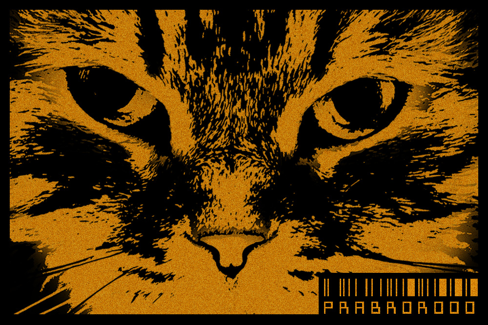 Prabrorooo tweet media