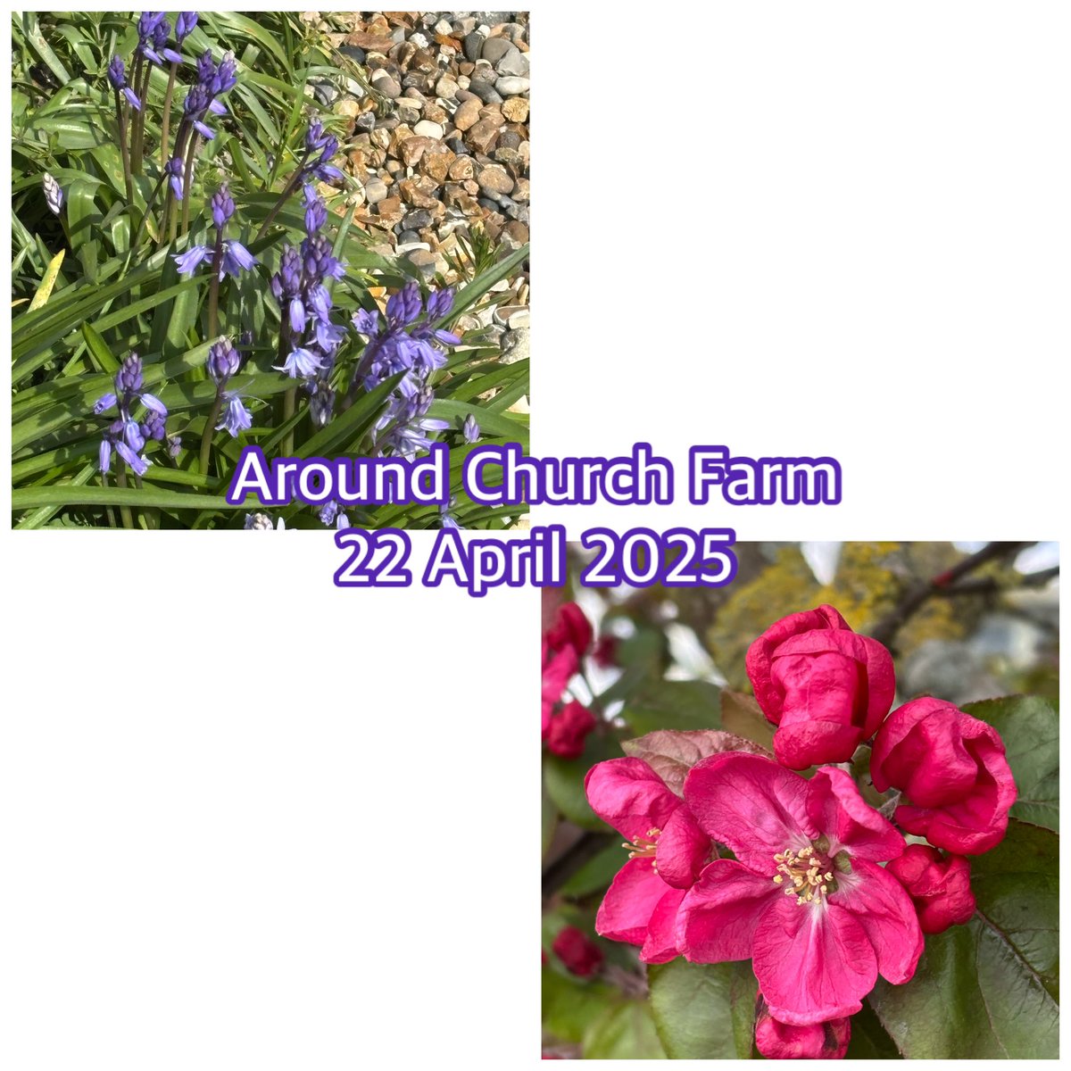 Inspirational &amp; enlightening presentation &amp; discussion this morning about <a href="/BrittenPears/">Britten Pears Arts</a> engagement with prisoners in two local establishments. Fascinating to hear the views of prisoners (recorded, of course!), and some of the music they have developed. Afternoon stroll into town.