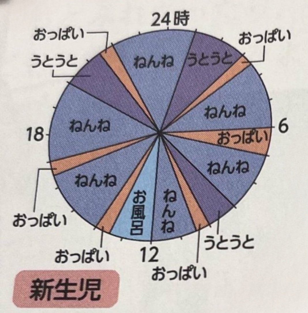 新生児は何も喋れないので、小学生の頃にアサガオの観察記録を付けていた記憶を彷彿とするような、ささいな変化を見逃さないような観察日記を付けざるを得ません。  実際に育児をした経験があるのなら、冒頭の新生児の生活リズムの円グラフが、いかに楽そうかのように簡略 ...