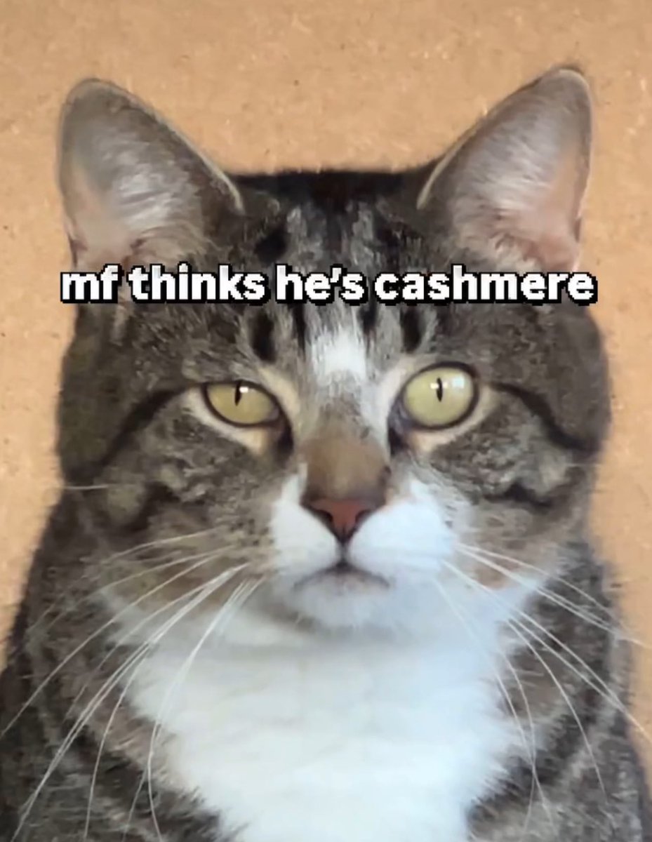 cleoemo's tweet image. 