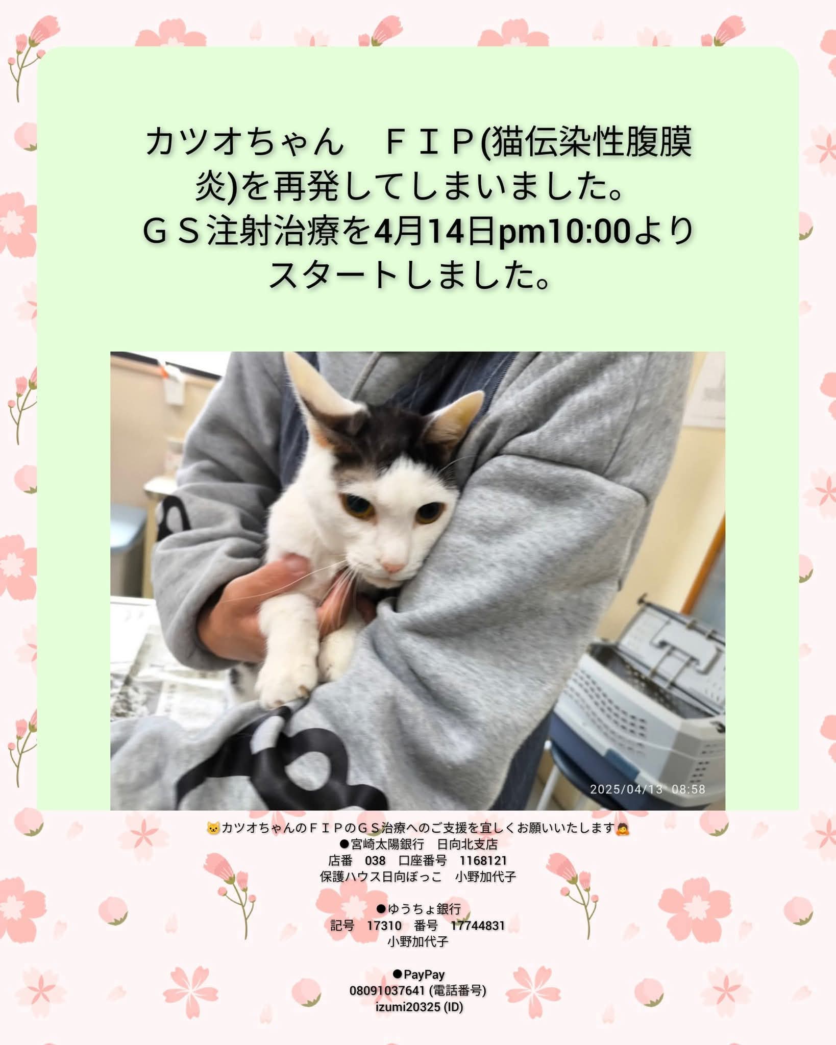 51G1gYjSw4L._AC_UF894,