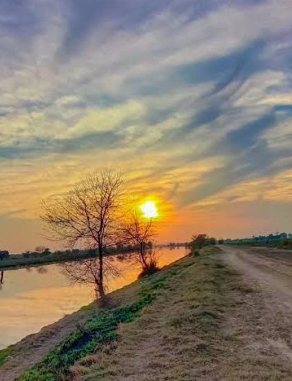 Be sure you put your feet in the right place .then stand firm..!

Wonderful morning all of you..🌅