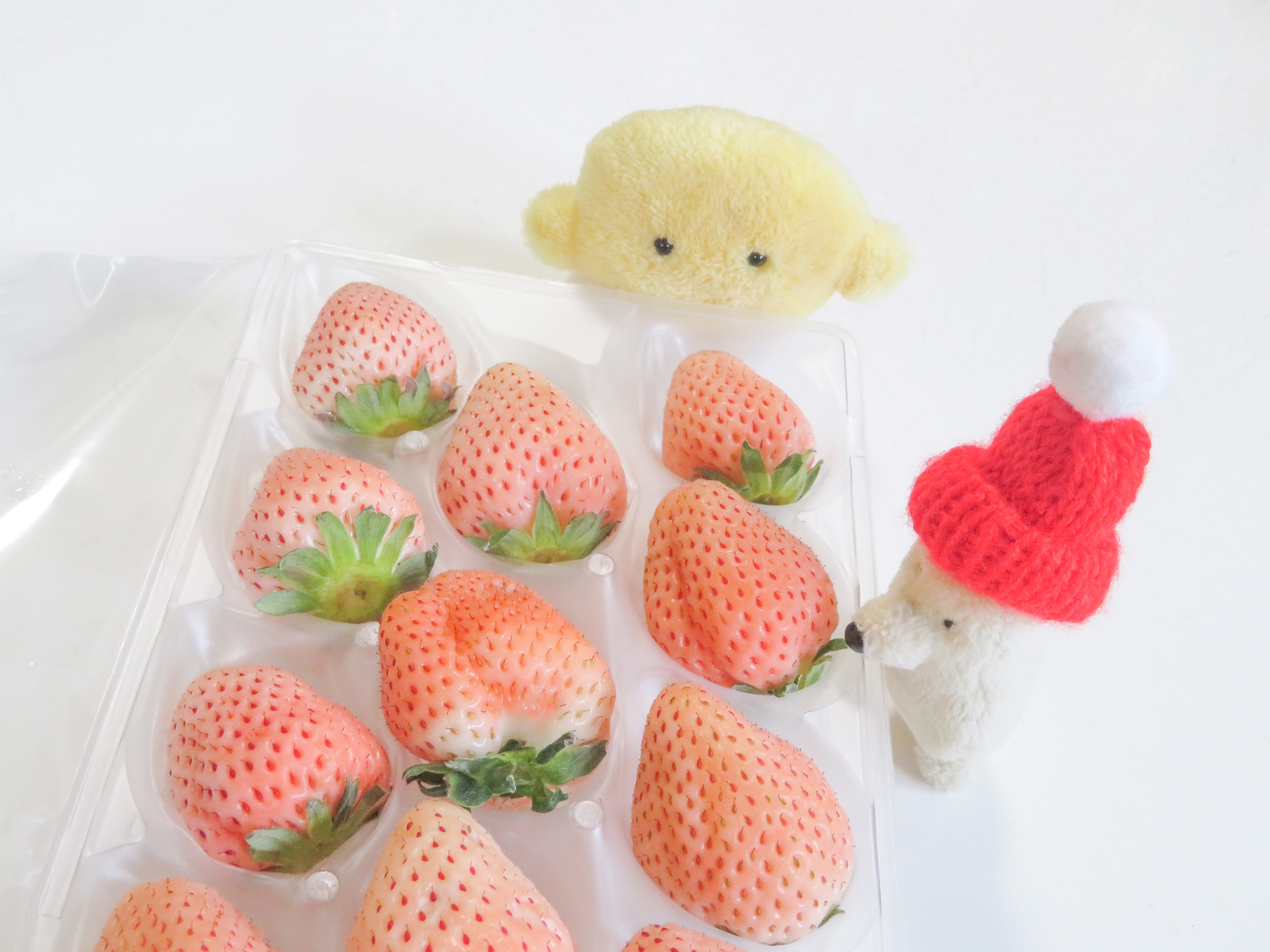 空想アパートメント ／ 豆粒のソフビ | はちみせ （83）