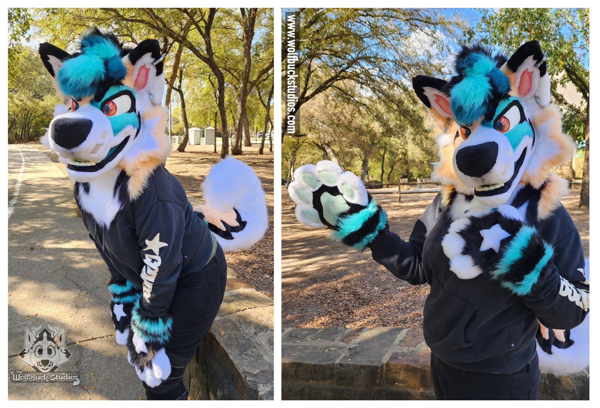 WolfBuck Studios ➡️FWA tweet media