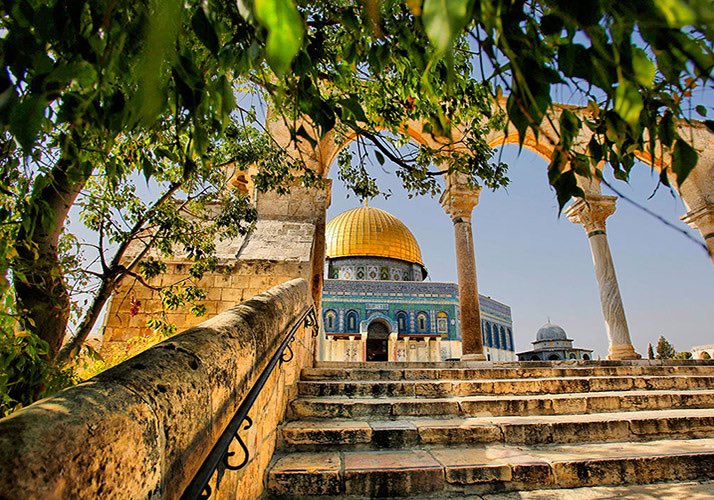 vampl0vrrr's tweet photo. thinking of palestine on earth day. https://t.co/YFnHIykUNd