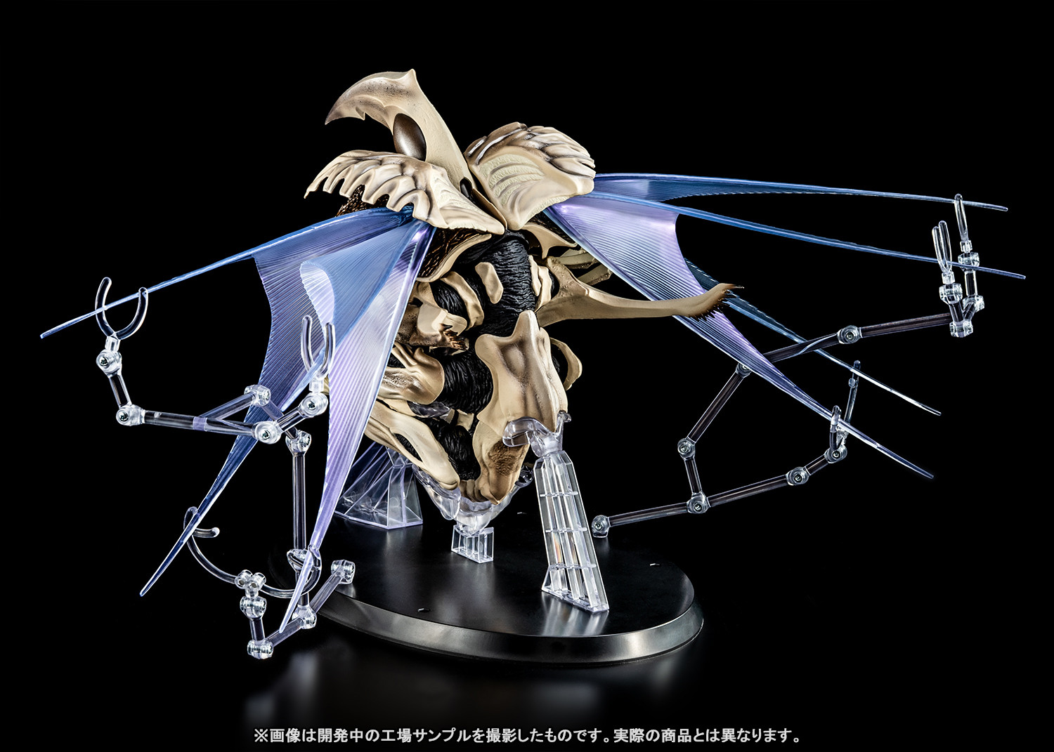 公式】ガメラ生誕60周年プロジェクト (@gamera_info) / X 公式】ガメラ生誕60周年プロジェクト (@gamera_info) / X