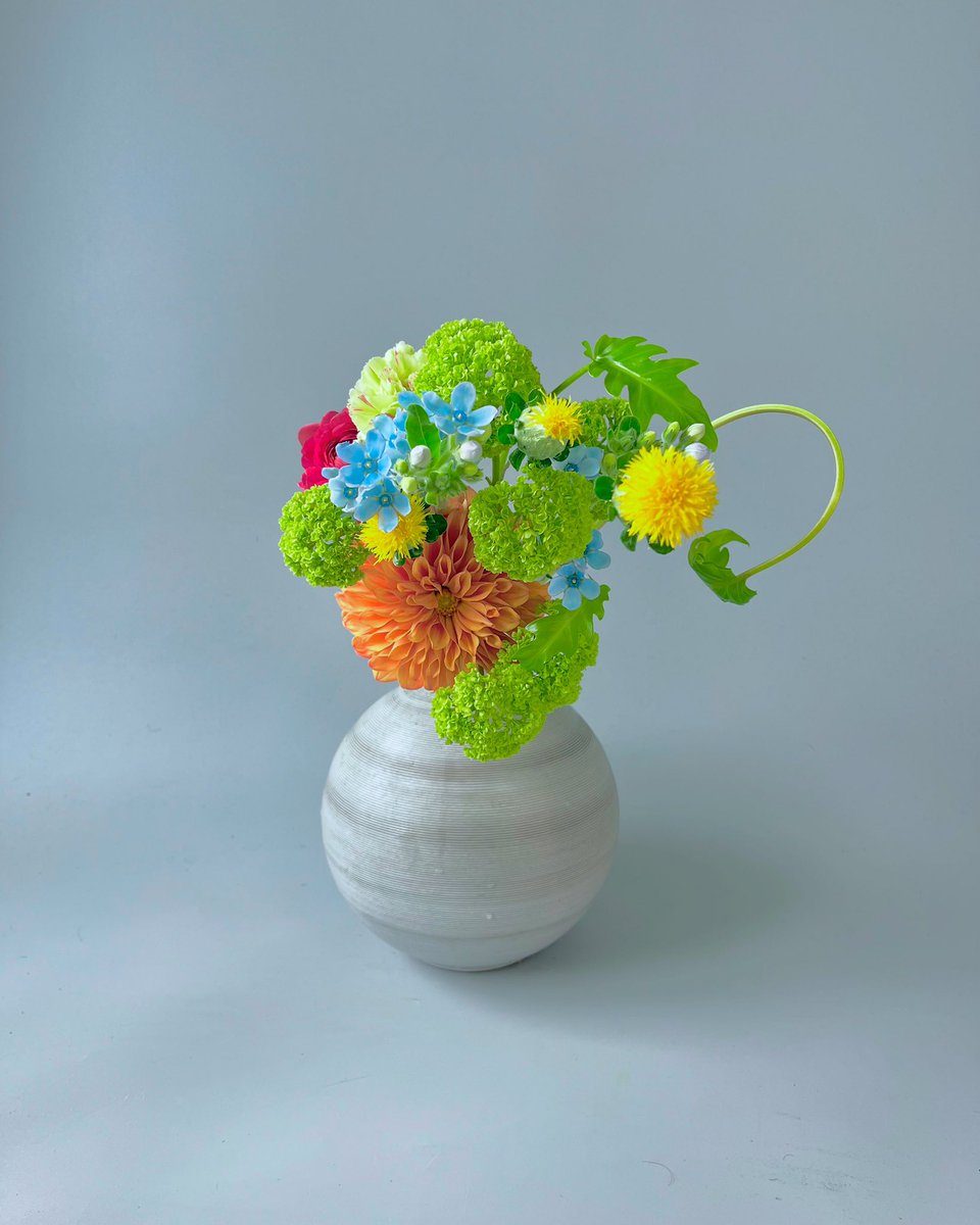 toshi118800's tweet photo. 大輪のダリアにビバーナムをあわせて
#いけばな #ikebana https://t.co/hRVj50987F