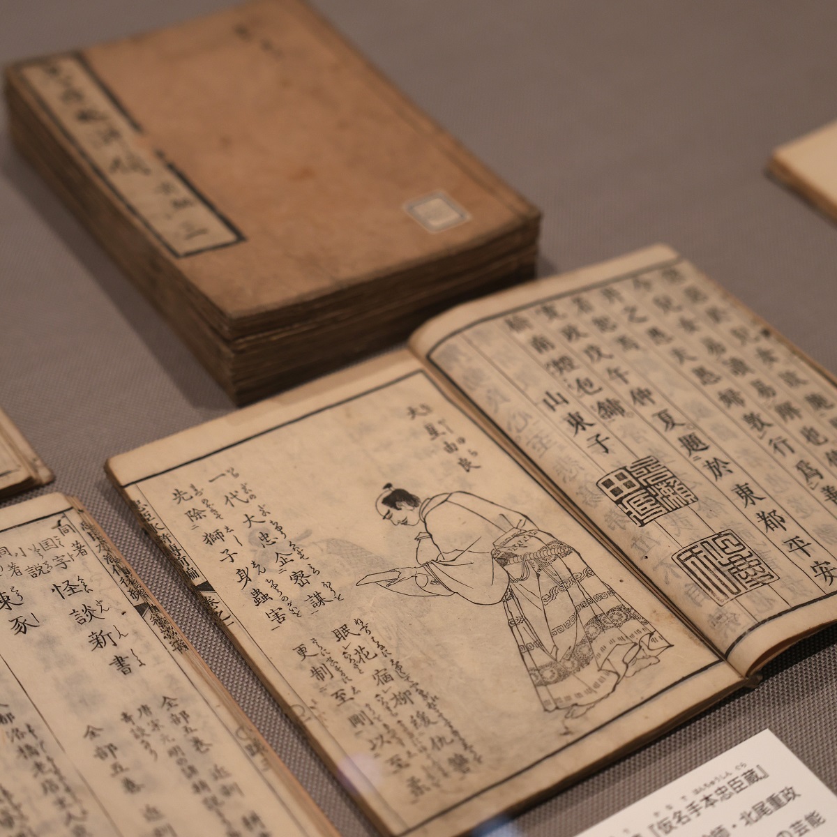 浄瑠璃「仮名手本忠臣蔵」と中国小説「水滸伝」を合せた読本(よみほん
