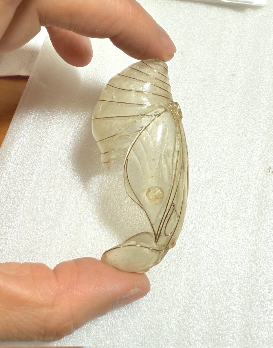 aways_somewhere's tweet image. 蛹