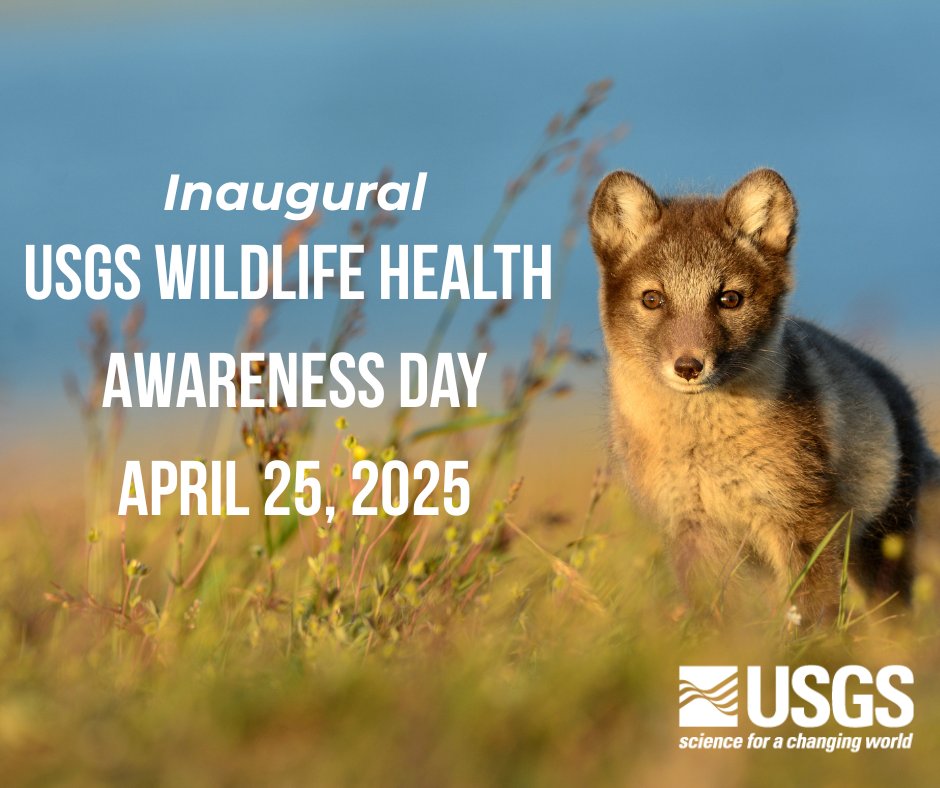 WDA - Wildlife Disease Association tweet media