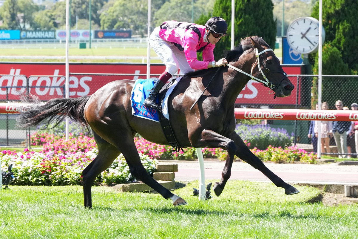 Acceptances are out for Manhari Saturday at The Valley this weekend!

The coverage will be broadcast live on <a href="/Racing/">Racing.com</a> from 11.15am and on <a href="/Channel7/">Channel 7</a> from 12pm!

Get your tickets here! 🎟️ - thevalley.com.au/racing/calenda…

VIEW ACCEPTANCES - racing.com/form/2025-04-2…

#LoveTheValley