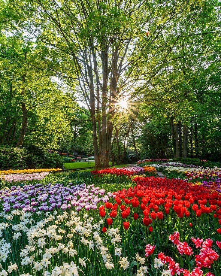 🌹🌿🌹Happy Wednesday 🌹🌿🌹