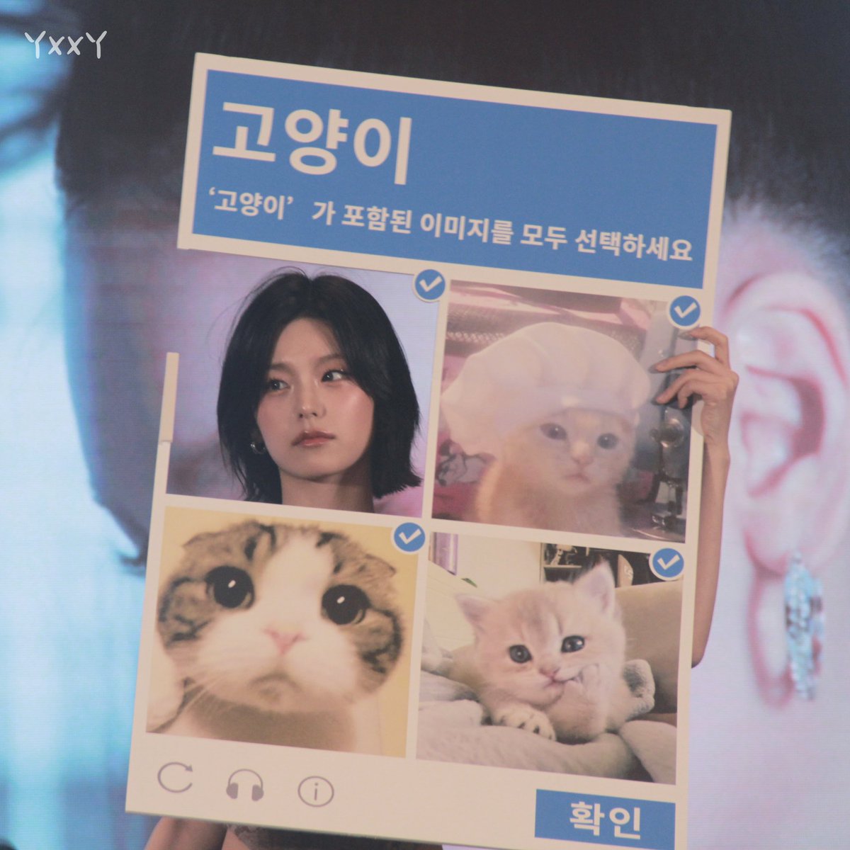 yonkey211's tweet image. 20250419
🐱🐱🐱🐱
#있지 #ITZY #예지 #YEJI