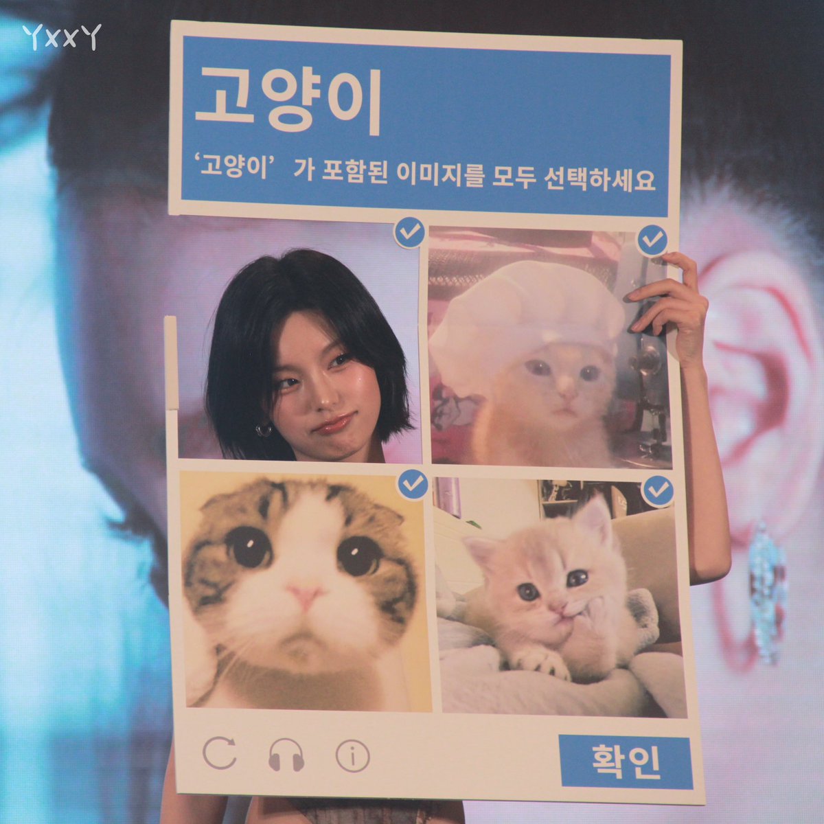 yonkey211's tweet image. 20250419
🐱🐱🐱🐱
#있지 #ITZY #예지 #YEJI