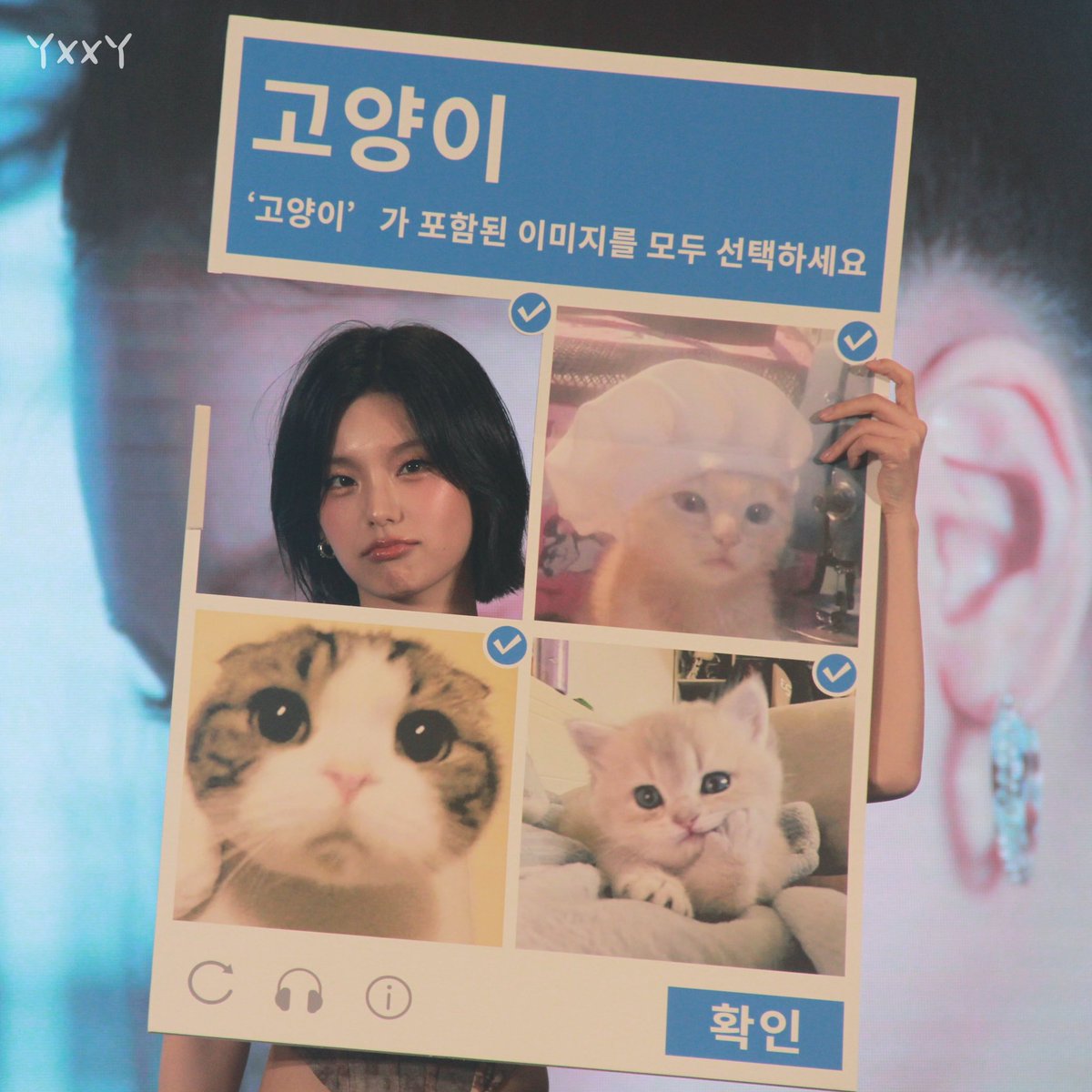 yonkey211's tweet image. 20250419
🐱🐱🐱🐱
#있지 #ITZY #예지 #YEJI