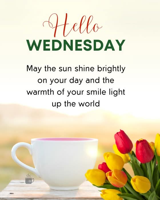 Happy Wednesday