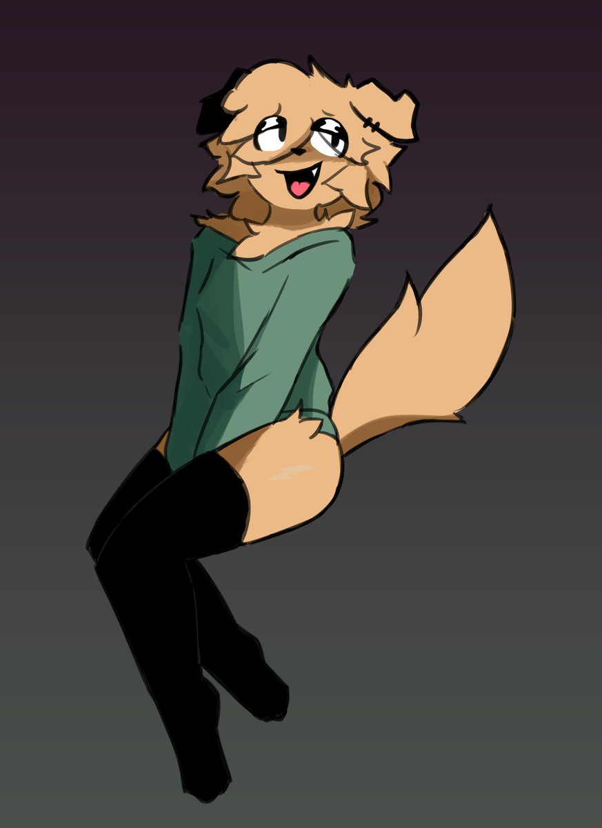 Lostdog 🔜 LVFC tweet media