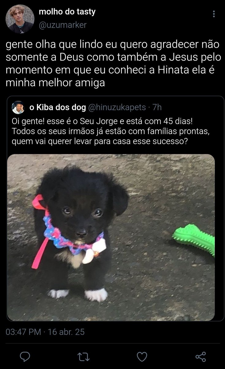 uzumarker's tweet image. 🐾 07

Melhor amiga