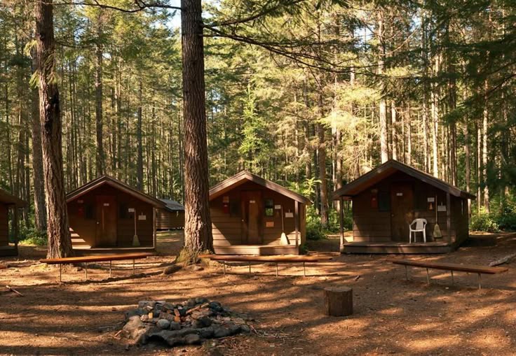 Our campsite has finally been renovated! Book your cabin and get some rest... 🌲