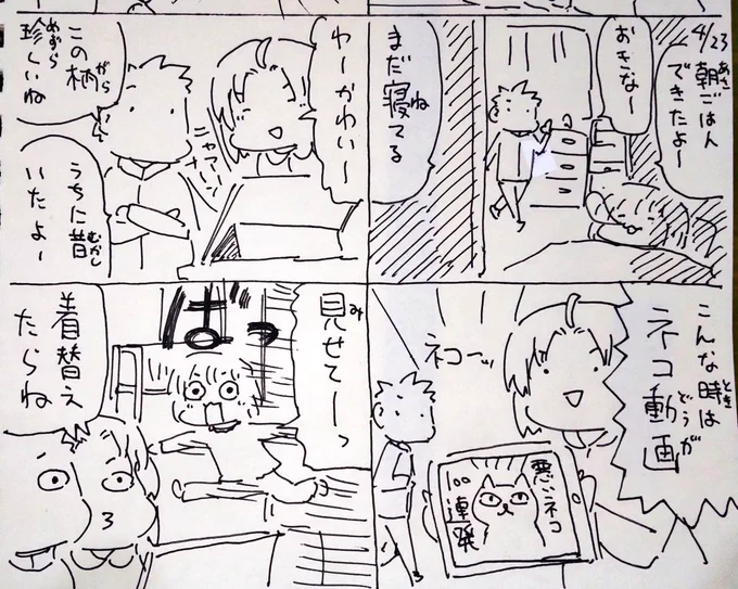 #本日のむすめさん
なかなか起きにくくなってはいますが、寝不足でなければ猫でつれます!猫強い!猫ありがとう! 