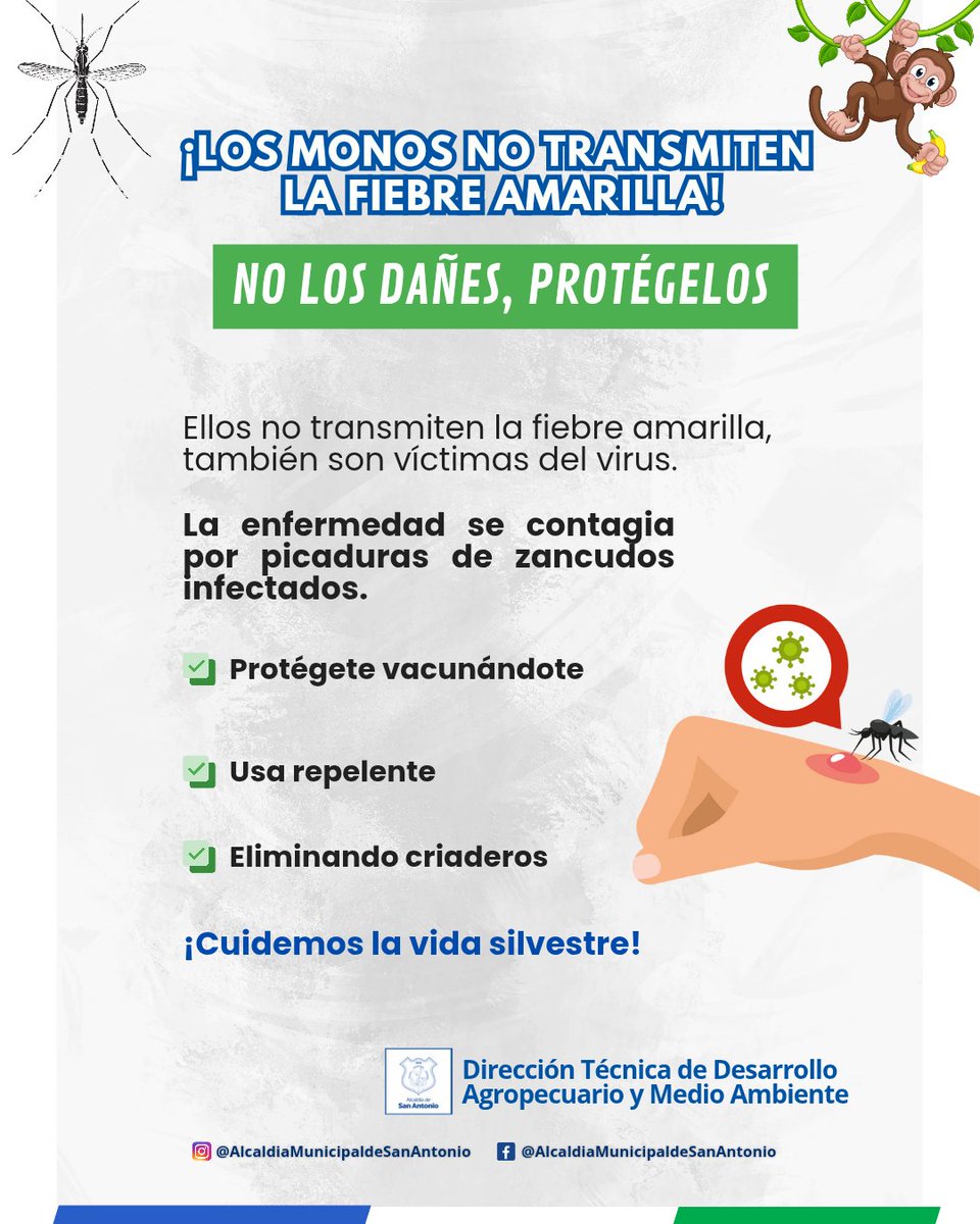 San Antonio Tolima tweet media