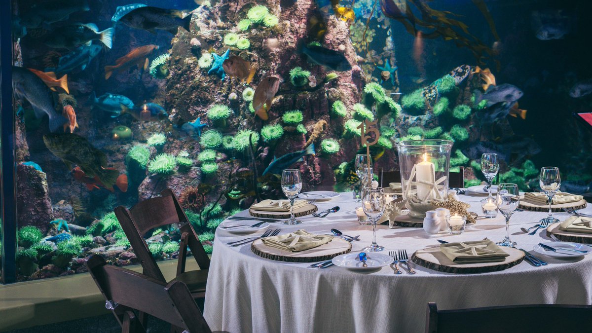 This Mother’s Day weekend, enjoy a shell-egant evening out at Nights At The Aquarium, an exclusive, adults-only fine dining experience surrounded by the serene beauty of the underwater world! We have two dates on May 10 and 11 - view tickets and menu here: vanaqua.org/explore/specia…