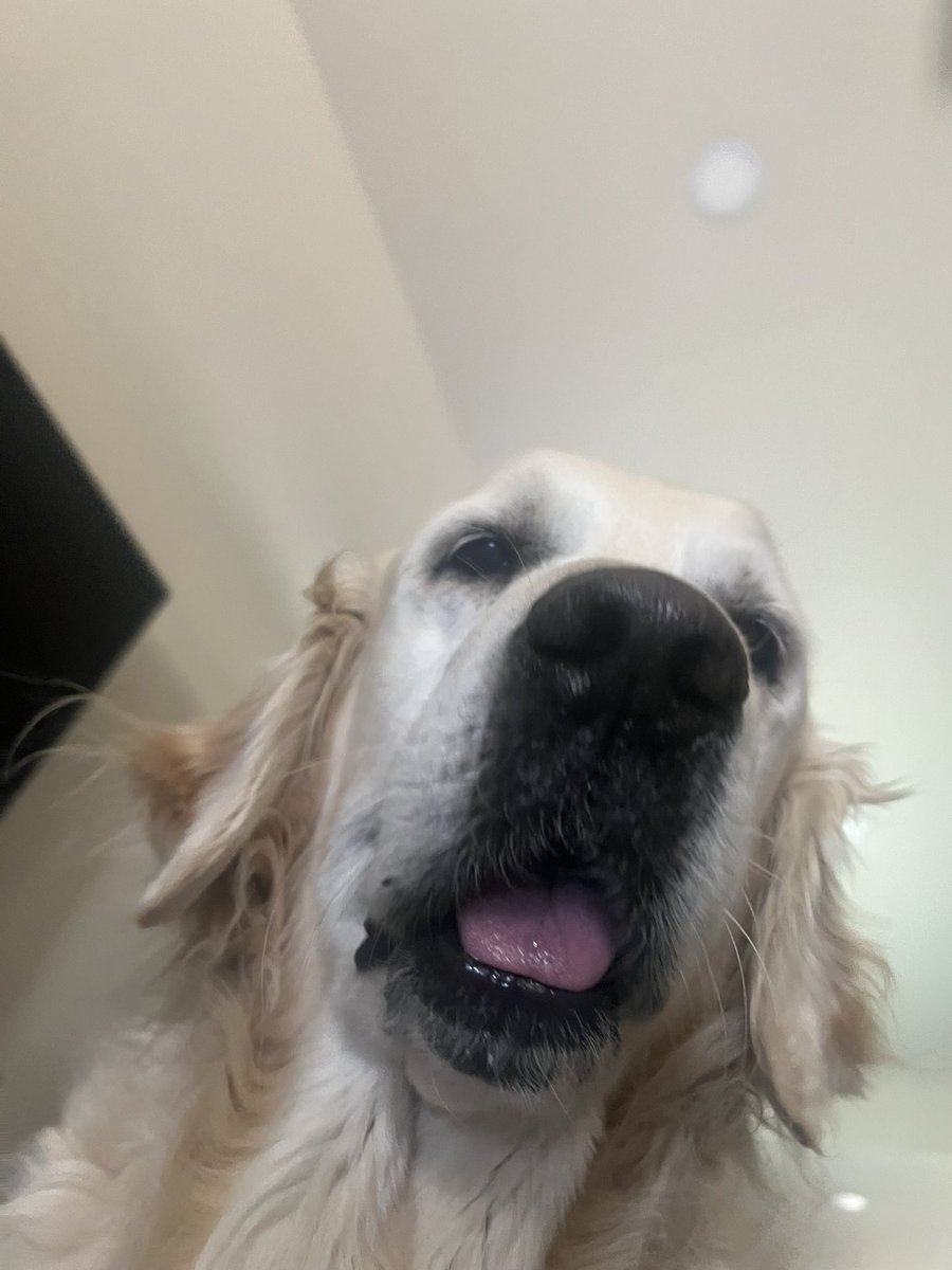 Melissa Harvey tweet media