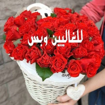 ملاك (@ss12km) on Twitter photo #دعم_مـــــــــلاك
#تابعوهم
<a href="/ss12km/">ملاك</a>
<a href="/ss12mk/">مـــــــــلاك</a>
<a href="/1ssiiss1/">سيفدا هورأوغلو</a>
<a href="/nbras21651/">نبراس العزيب</a>
<a href="/FDDDll/">🇦🇪 φɾìղçҽ البرنـس 🇸🇦</a>
<a href="/SocCe19x0/">وردة المملكة</a>
<a href="/7mira8/"> 🆇 𝙂𝘼𝙕𝘼-І͛ ȷɹ̤ᖝ</a>
<a href="/AByr_012/">د/عبير🌹💞</a>
<a href="/nor475999/">Nor🇸🇦</a>
<a href="/RSraraa/">ramdan1 sraraa</a>
<a href="/2t1t3/">آلَــ๛ـلَطآنِ 𝕏</a>
<a href="/try161355024673/">ثريا،،،، .......... الحساب للبيع</a>
<a href="/_E_HSAN/">🇶🇦𝐄𝐇𝐒𝐀𝐍إحسان علي</a>
<a href="/ECCTJ/">نـ♣︎ـوٌرٍ ♣𓋜</a>
<a href="/DD2007dd/">أنــ،ـورالـ๛ـلطان 🇸🇦</a>
<a href="/01Ar3/">🇾🇪نجم اليمن للدعم 🇾🇪</a>
<a href="/SHAAB_34/">أشهب رأفت ✪</a>
@D_D_U_U1
<a href="/rok326439/">know</a>
<a href="/GHHAMMDDI/">ابو الوليد الغامدي</a>
<a href="/HNd_564/">هند</a>
<a href="/li8i8il8/">مريم</a>
<a href="/lll00lll/">(عبير 🌺</a>
<a href="/5ASG4/">حً ـنٌآنٌ</a>
<a href="/5MHD5/">ABWabdkrym</a> #دعم_مـــــــــلاك
#تابعوهم
<a href="/ss12km/">ملاك</a>
<a href="/ss12mk/">مـــــــــلاك</a>
<a href="/1ssiiss1/">سيفدا هورأوغلو</a>
<a href="/nbras21651/">نبراس العزيب</a>
<a href="/FDDDll/">🇦🇪 φɾìղçҽ البرنـس 🇸🇦</a>
<a href="/SocCe19x0/">وردة المملكة</a>
<a href="/7mira8/"> 🆇 𝙂𝘼𝙕𝘼-І͛ ȷɹ̤ᖝ</a>
<a href="/AByr_012/">د/عبير🌹💞</a>
<a href="/nor475999/">Nor🇸🇦</a>
<a href="/RSraraa/">ramdan1 sraraa</a>
<a href="/2t1t3/">آلَــ๛ـلَطآنِ 𝕏</a>
<a href="/try161355024673/">ثريا،،،، .......... الحساب للبيع</a>
<a href="/_E_HSAN/">🇶🇦𝐄𝐇𝐒𝐀𝐍إحسان علي</a>
<a href="/ECCTJ/">نـ♣︎ـوٌرٍ ♣𓋜</a>
<a href="/DD2007dd/">أنــ،ـورالـ๛ـلطان 🇸🇦</a>
<a href="/01Ar3/">🇾🇪نجم اليمن للدعم 🇾🇪</a>
<a href="/SHAAB_34/">أشهب رأفت ✪</a>
@D_D_U_U1
<a href="/rok326439/">know</a>
<a href="/GHHAMMDDI/">ابو الوليد الغامدي</a>
<a href="/HNd_564/">هند</a>
<a href="/li8i8il8/">مريم</a>
<a href="/lll00lll/">(عبير 🌺</a>
<a href="/5ASG4/">حً ـنٌآنٌ</a>
<a href="/5MHD5/">ABWabdkrym</a>
