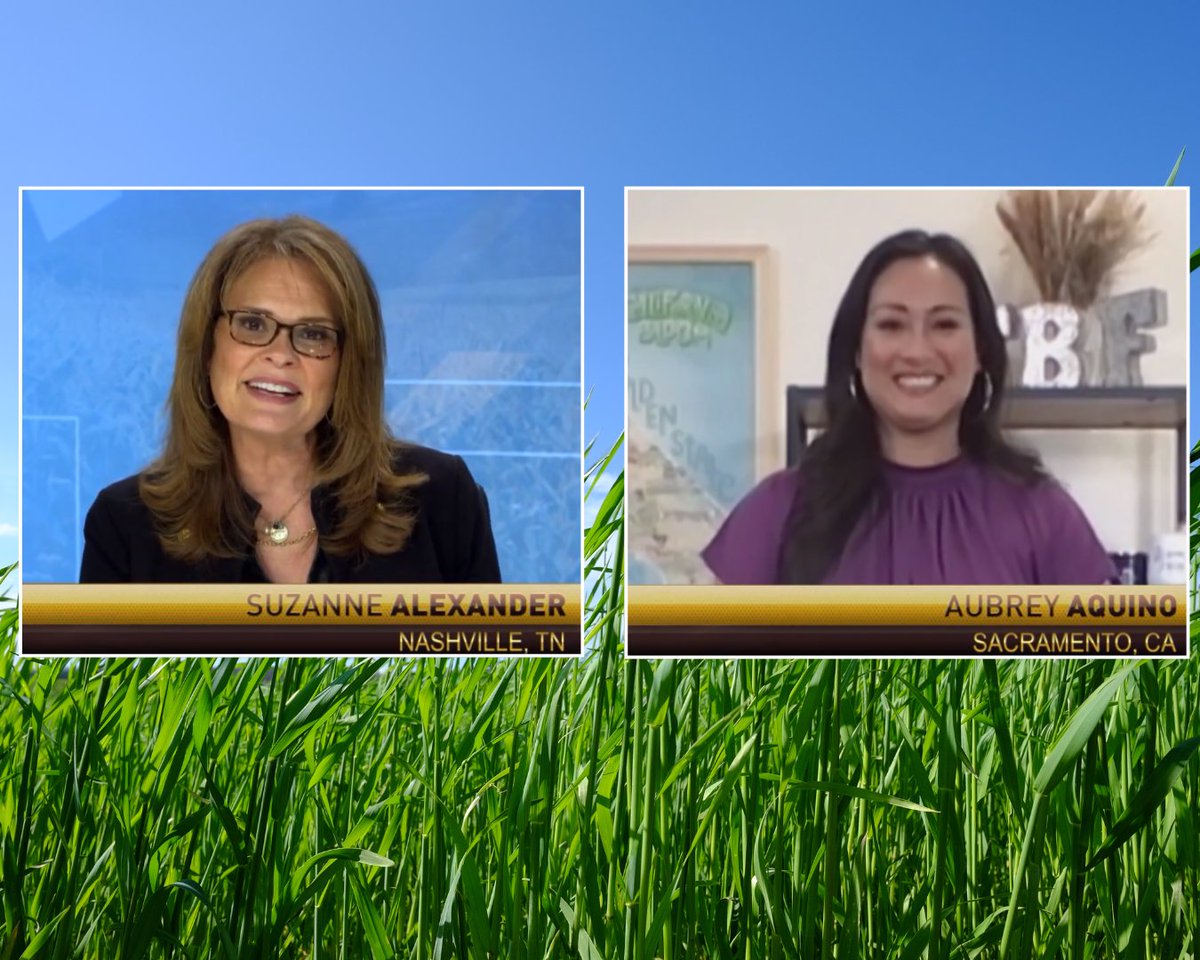 cabountiful's tweet image. #BountifulFinds is on the air!🎁

Host @AubreyAnne has shared our new gift guide on: 
✔️ CBS @GoodDaySac
 ✔️ @OfficialRFDTV
 📺 TOMORROW: Catch her on @ABC30 Fresno + @NBCCALive (LA, San Diego &amp;amp; Bay Area) at 11:30 a.m.!

🛒 Shop farm-fresh gifts → californiabountiful.com/bountifulfinds