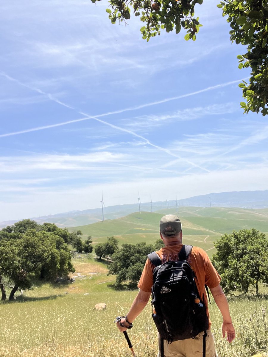 A view out over the Altamont from Brushy Peak today !
