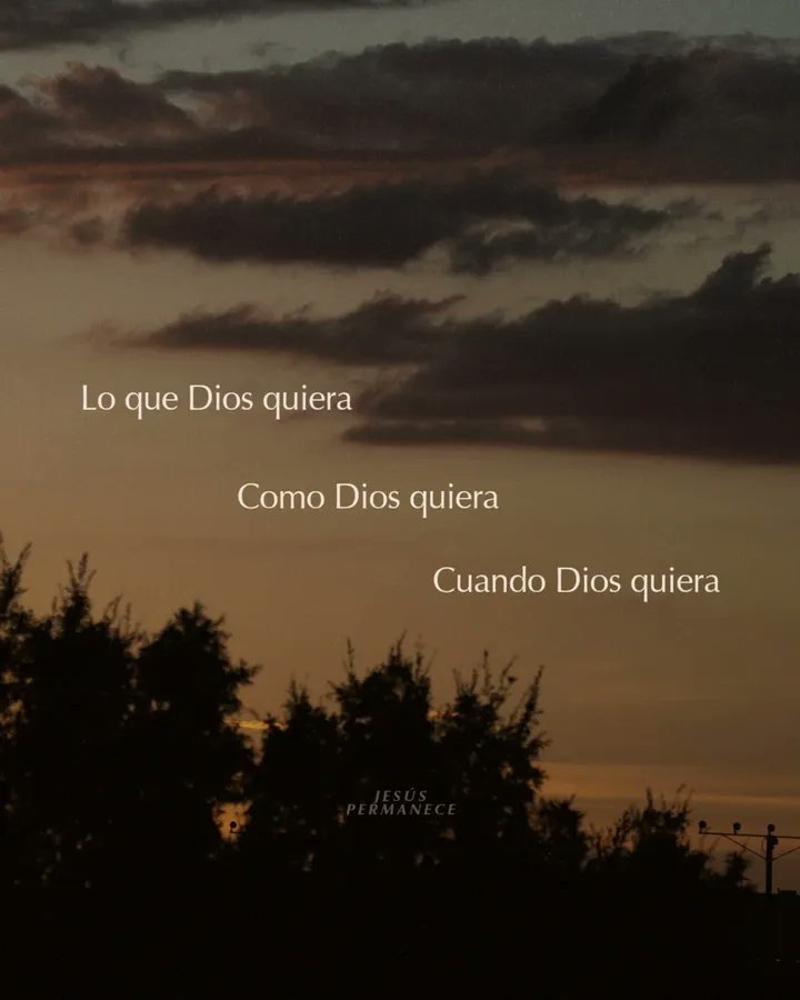 elsiervo__'s tweet photo. https://t.co/PgEo7lDkBT
