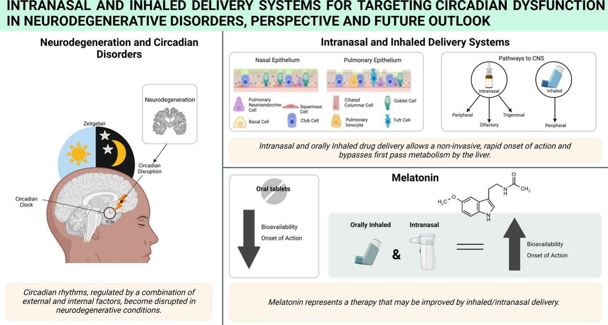 Editors of Advanced Drug Delivery Reviews (@addreditors) on Twitter photo ADDR Open Access: Intranasal and Inhaled Delivery Systems for Targeting Circadian Dysfunction in Neurodegenerative Disorders, Perspective and Future Outlook.
By Daniela Traini & coworkers <a href="/Macquarie_Uni/">Macquarie University</a> <a href="/AustralianCRS/">Drug Delivery Australia</a>
#intranasal #inhalation
kwnsfk27.r.eu-west-1.awstrack.me/L0/https:%2F%2… ADDR Open Access: Intranasal and Inhaled Delivery Systems for Targeting Circadian Dysfunction in Neurodegenerative Disorders, Perspective and Future Outlook.
By Daniela Traini & coworkers <a href="/Macquarie_Uni/">Macquarie University</a> <a href="/AustralianCRS/">Drug Delivery Australia</a>
#intranasal #inhalation
kwnsfk27.r.eu-west-1.awstrack.me/L0/https:%2F%2…