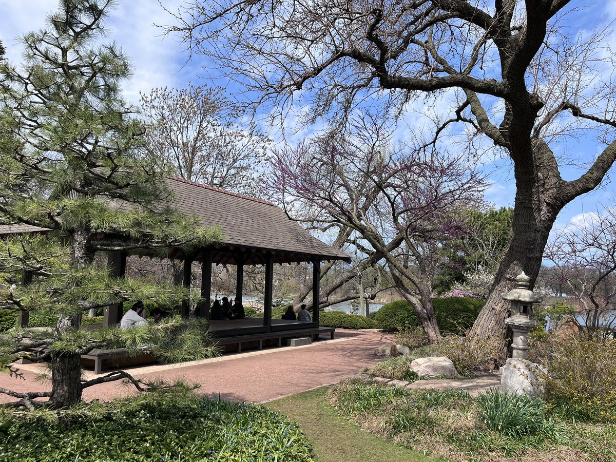 Nick Meshes tweet media