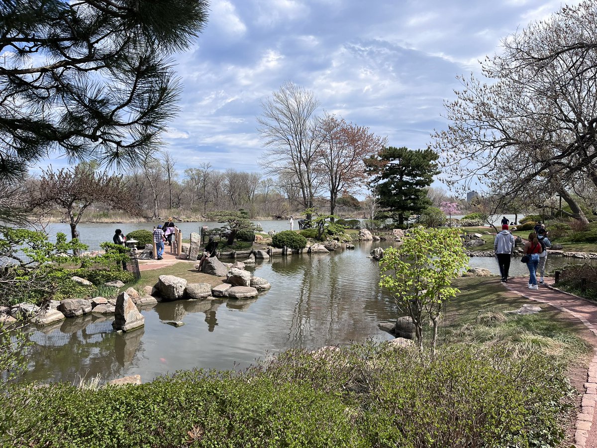 Nick Meshes tweet media