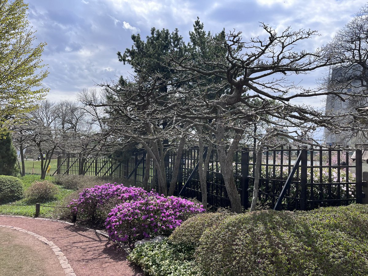 Nick Meshes tweet media