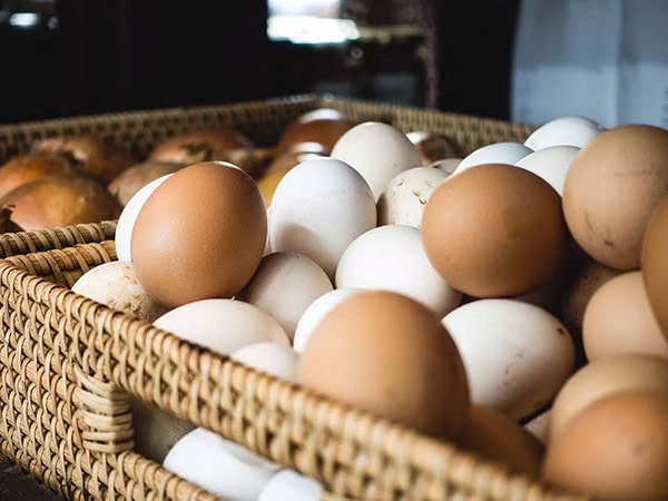 The H5N1 strain of avian influenza has affected over three million birds in Colorado and consumers continue to face high egg prices.

According to Daniels faculty Jack Buffington, these steep prices aren’t just a symptom of the bird flu.

Read more: buff.ly/ErWSRCE