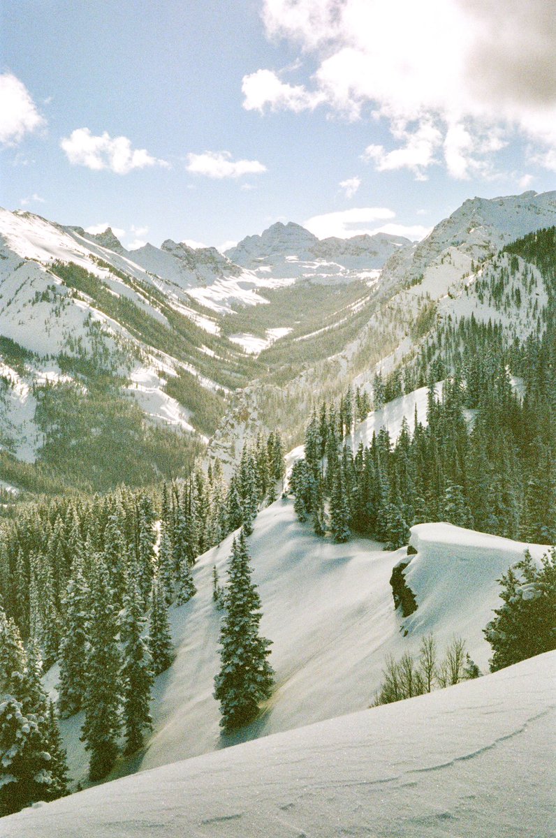 Obermeyer tweet media