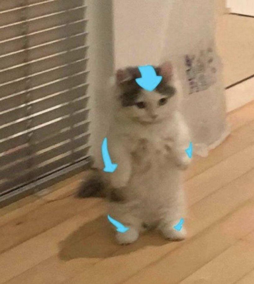 <a href="/theunipcs/">Unipcs (aka 'Bonk Guy') 🎒</a> reversal incoming