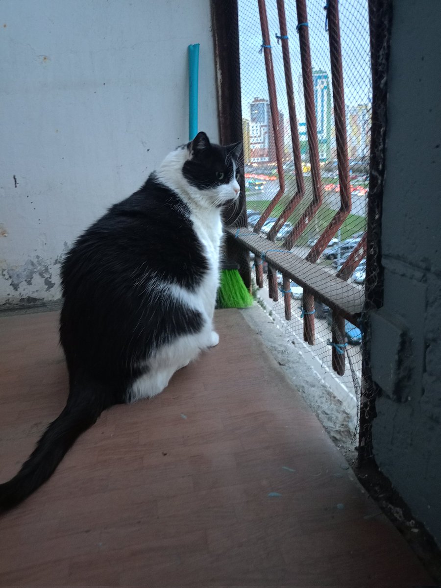 весенняя инспекция