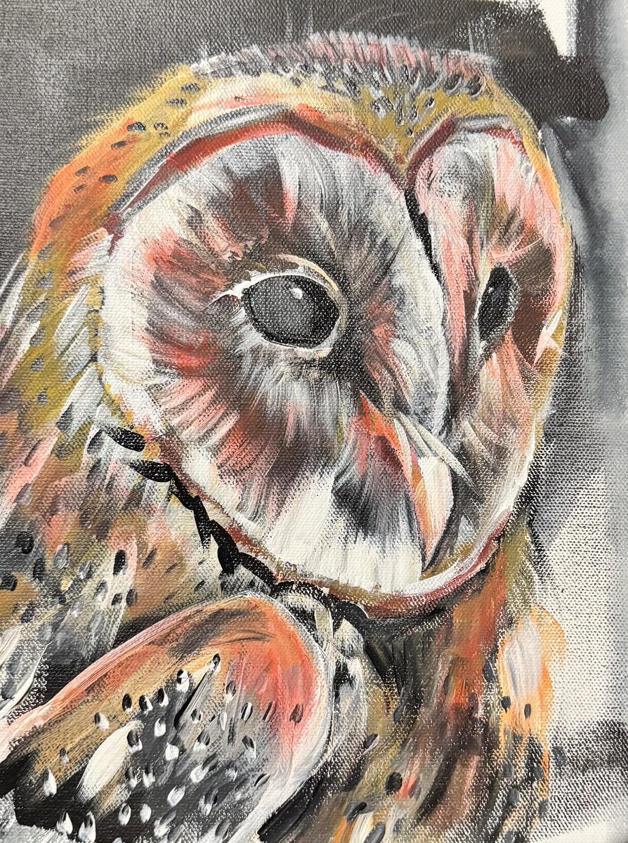 🦉🎉 15 yrs <a href="/twilio/">twilio</a>! From SendGrid’s 5th hire to Wise Owl, I’ve watched a pizza‑box idea become a global platform!