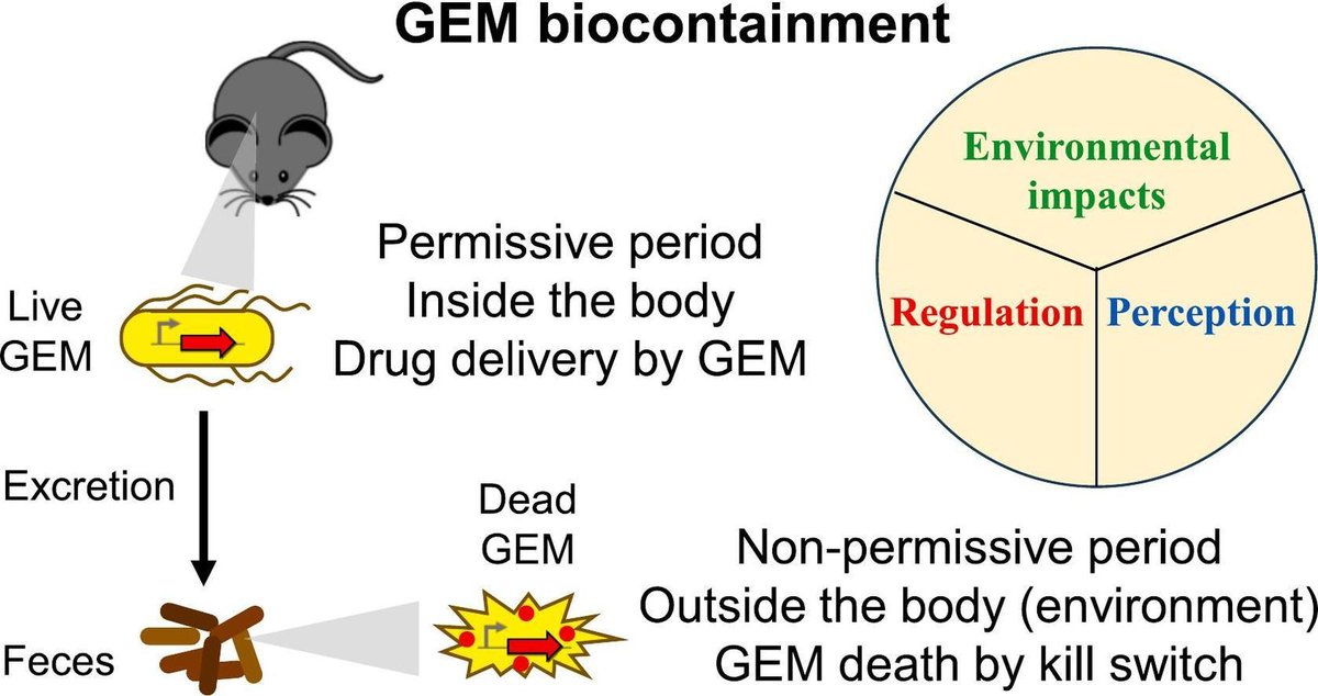 Editors of Advanced Drug Delivery Reviews (@addreditors) on Twitter photo ADDR 50 days' free access: Be a GEM: biocontained, environmentally applied, genetically engineered microbes.
By Tae Seok Moon <a href="/JCVenterInst/">J. Craig Venter Institute</a>
#probiotic #GeneticallyEngineeredMicrobe #regulation
kwnsfk27.r.eu-west-1.awstrack.me/L0/https:%2F%2… ADDR 50 days' free access: Be a GEM: biocontained, environmentally applied, genetically engineered microbes.
By Tae Seok Moon <a href="/JCVenterInst/">J. Craig Venter Institute</a>
#probiotic #GeneticallyEngineeredMicrobe #regulation
kwnsfk27.r.eu-west-1.awstrack.me/L0/https:%2F%2…