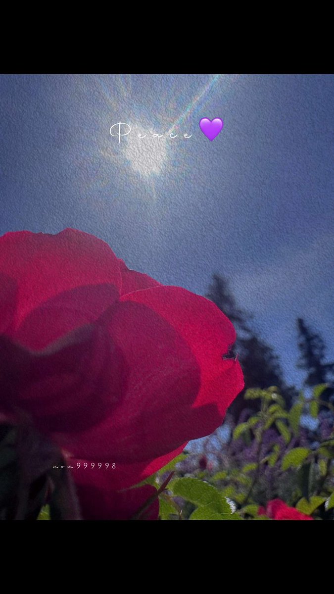 April 22: A Tribute to Mother Earth 🌍

Nature is not merely a backdrop to our lives—it is the essence of existence itself. We are woven into its grand tapestry, learning from its wisdom, shaped by its rhythms.

Nature is a teacher unlike any other, imparting lessons in humility,